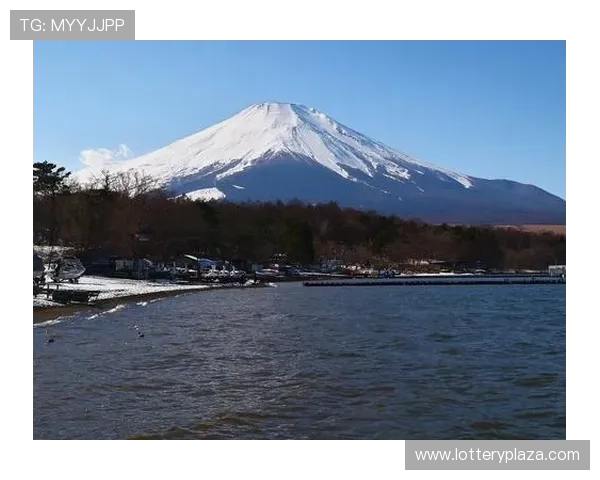 奥运火炬在日本传递：友谊的跨国之旅